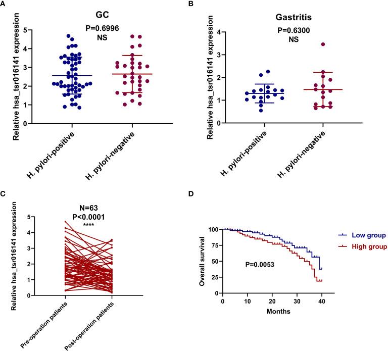 https://cdn.ncbi.nlm.nih.gov/pmc/blobs/e86d/8155501/4f48e65b3411/fonc-11-679366-g006.jpg