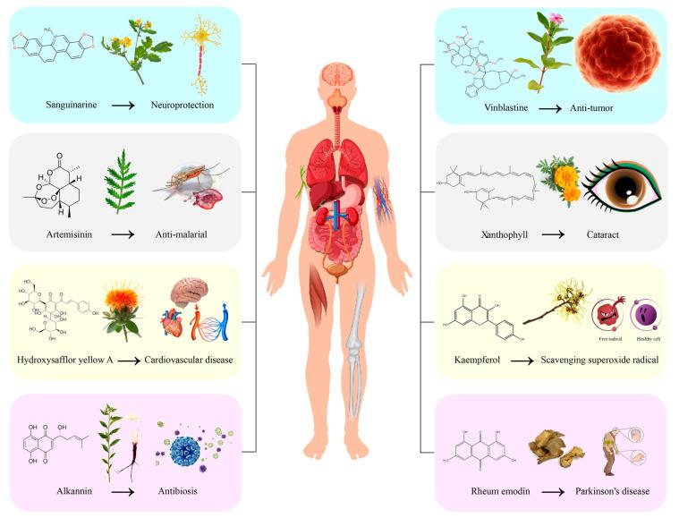 https://cdn.ncbi.nlm.nih.gov/pmc/blobs/e870/12027854/d56c344003de/ijms-26-03867-g002.jpg