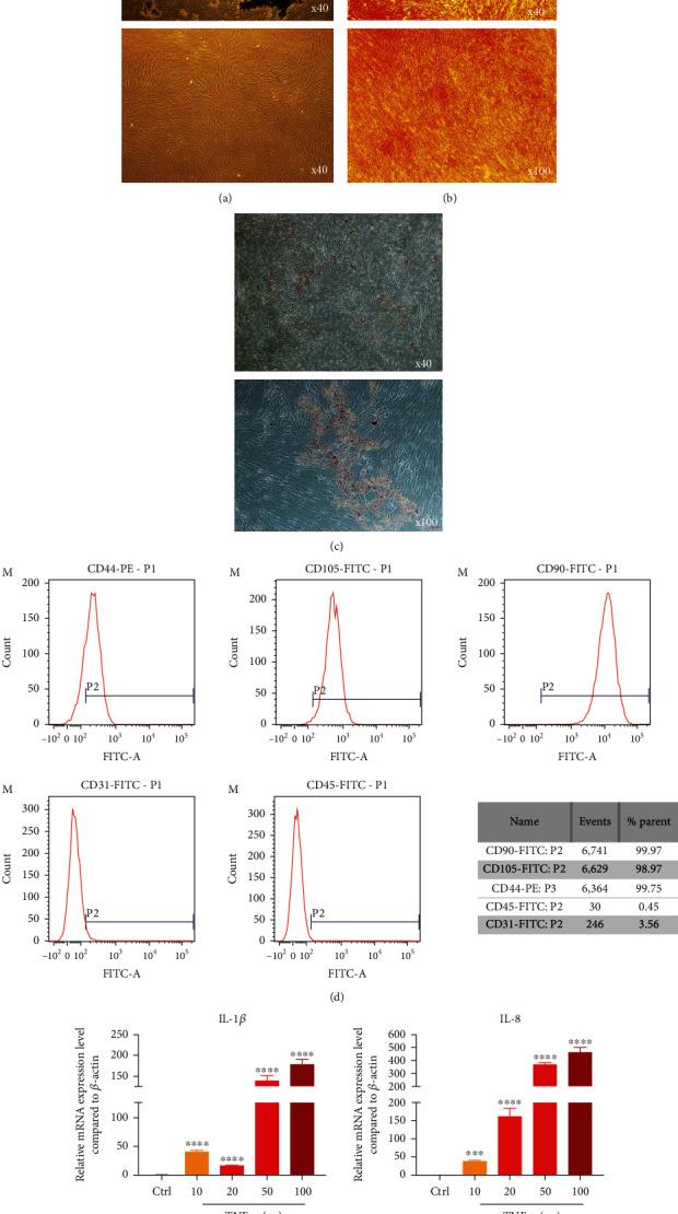https://cdn.ncbi.nlm.nih.gov/pmc/blobs/e871/9527112/5a403630ab96/SCI2022-9806887.001.jpg