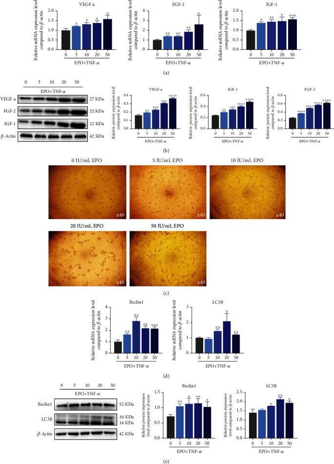 https://cdn.ncbi.nlm.nih.gov/pmc/blobs/e871/9527112/b683208e7327/SCI2022-9806887.005.jpg