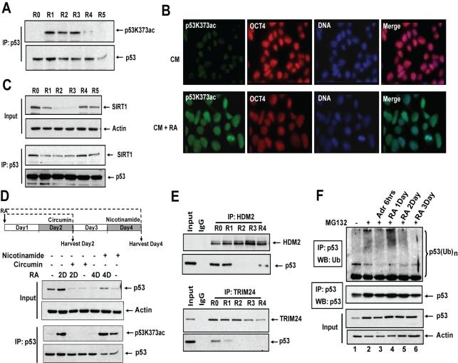 https://cdn.ncbi.nlm.nih.gov/pmc/blobs/e874/3289600/6cbfd44fbe11/pbio.1001268.g002.jpg