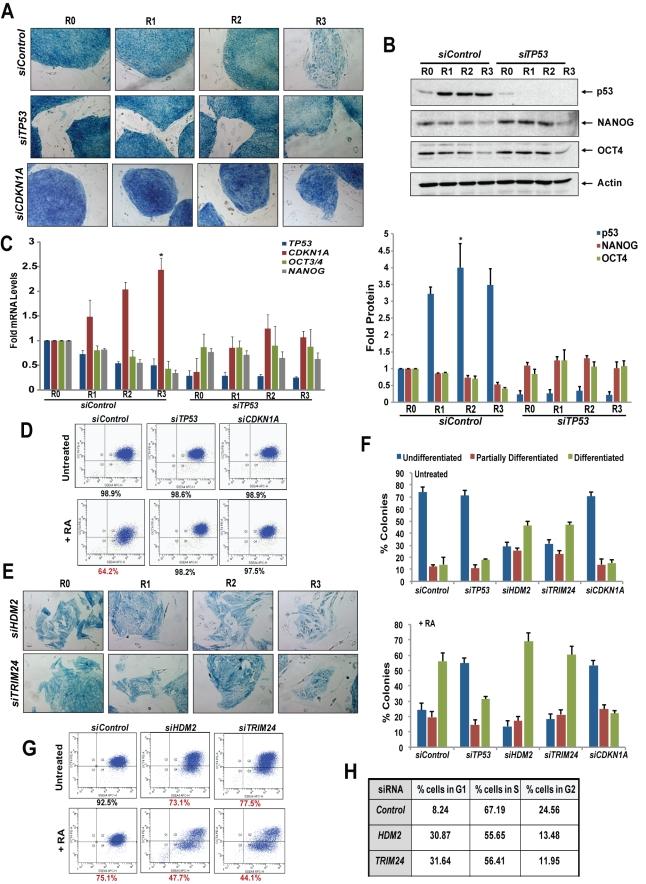 https://cdn.ncbi.nlm.nih.gov/pmc/blobs/e874/3289600/76a3ded04e4c/pbio.1001268.g004.jpg