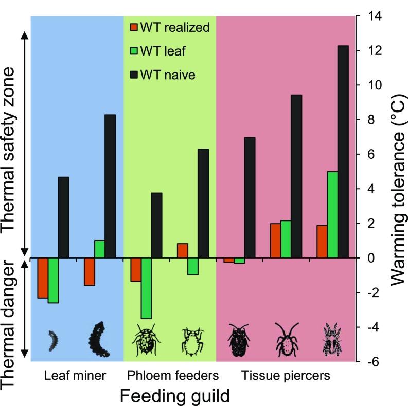 https://cdn.ncbi.nlm.nih.gov/pmc/blobs/e874/6431205/229f5a05621b/pnas.1815828116fig06.jpg