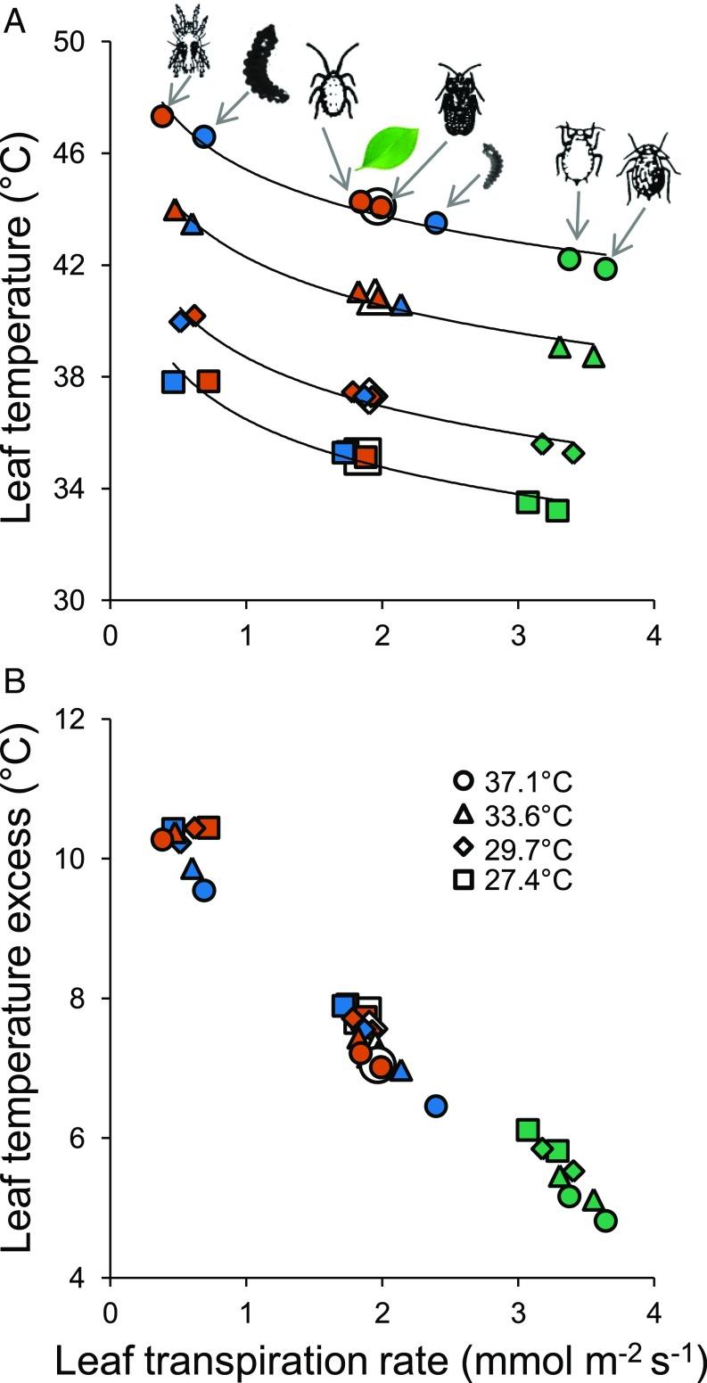 https://cdn.ncbi.nlm.nih.gov/pmc/blobs/e874/6431205/3afc3611ae19/pnas.1815828116fig04.jpg