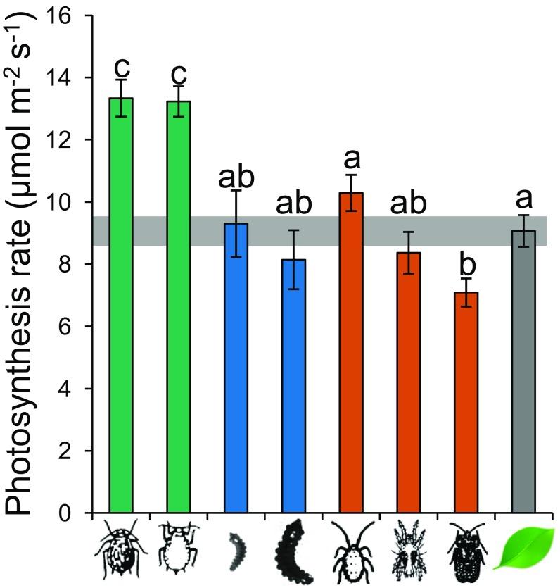 https://cdn.ncbi.nlm.nih.gov/pmc/blobs/e874/6431205/a18e576afe1e/pnas.1815828116fig02.jpg