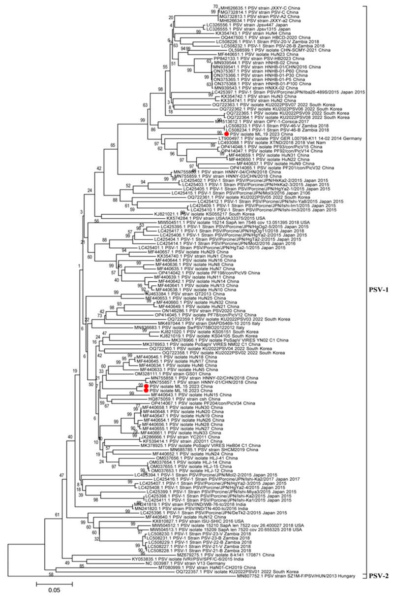 https://cdn.ncbi.nlm.nih.gov/pmc/blobs/e875/12030907/a24803b9616a/viruses-17-00505-g007.jpg