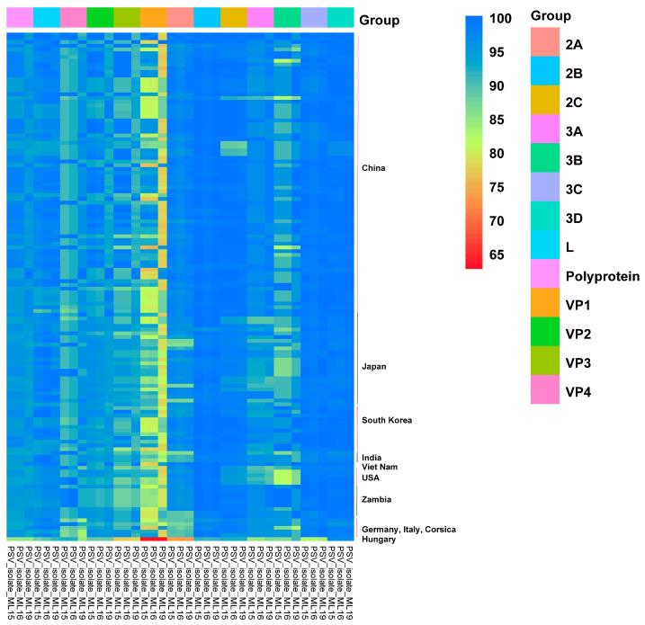 https://cdn.ncbi.nlm.nih.gov/pmc/blobs/e875/12030907/bbfbc0db556e/viruses-17-00505-g004.jpg