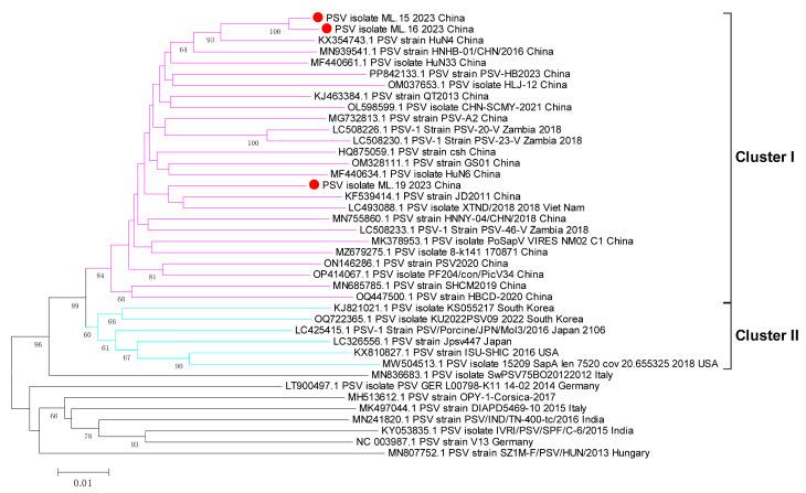 https://cdn.ncbi.nlm.nih.gov/pmc/blobs/e875/12030907/c39dfb6a4b02/viruses-17-00505-g006.jpg