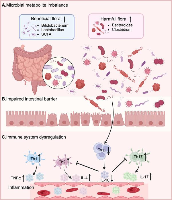 https://cdn.ncbi.nlm.nih.gov/pmc/blobs/e878/12006732/1cba015bf86d/MCO2-6-e70168-g004.jpg