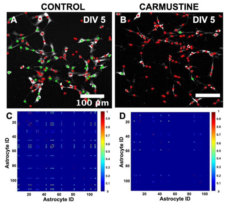 https://cdn.ncbi.nlm.nih.gov/pmc/blobs/e87b/8304447/44150af3e151/cells-10-01581-g007.jpg