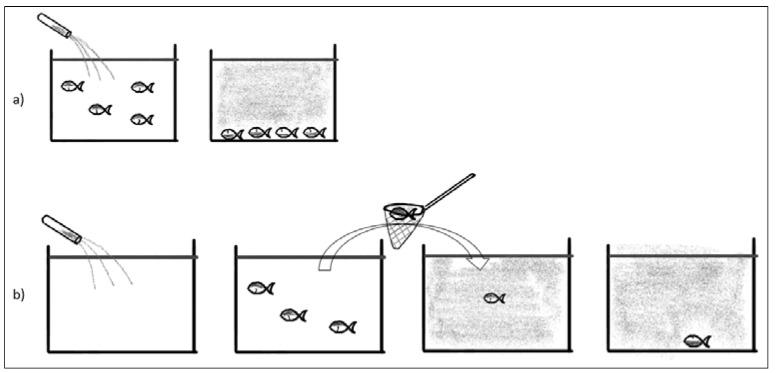 https://cdn.ncbi.nlm.nih.gov/pmc/blobs/e87c/9495490/7f670dc3cee0/biology-11-01355-g001.jpg