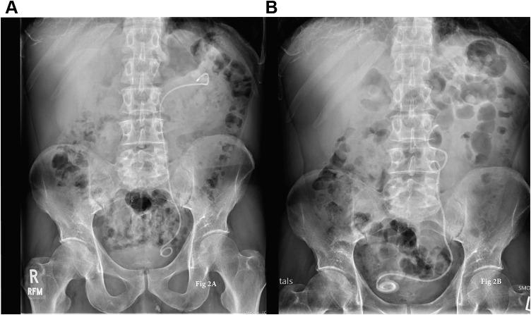 https://cdn.ncbi.nlm.nih.gov/pmc/blobs/e87d/7403435/480cff7fdd43/RRU-12-303-g0002.jpg