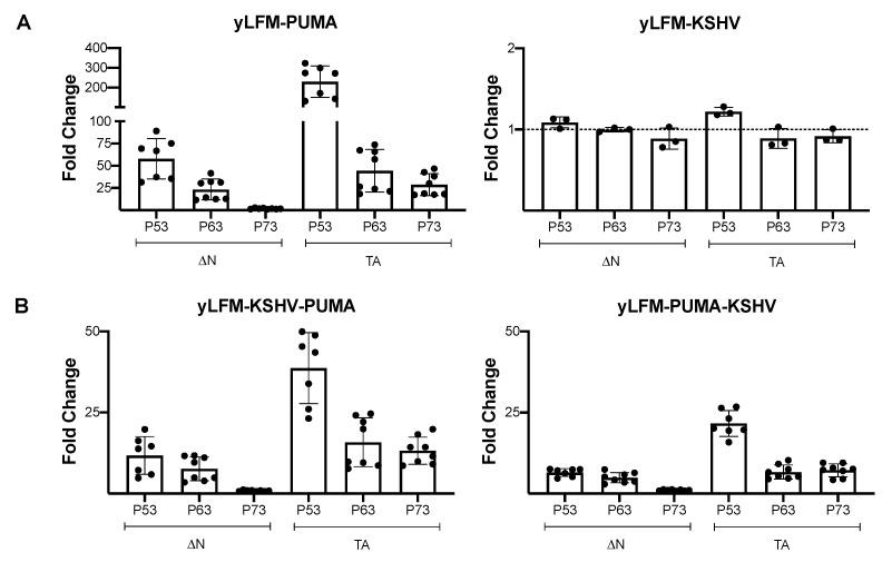 https://cdn.ncbi.nlm.nih.gov/pmc/blobs/e87d/7919268/53fff132aa37/genes-12-00277-g001.jpg
