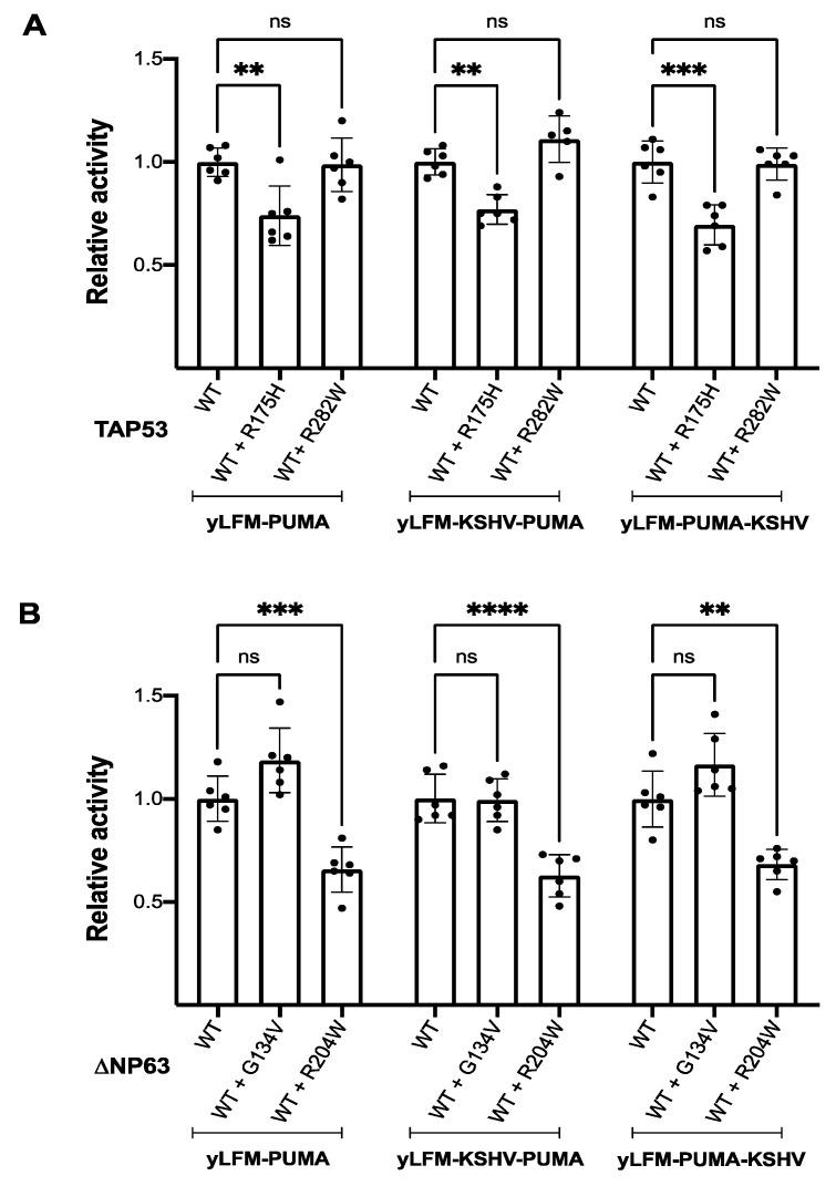 https://cdn.ncbi.nlm.nih.gov/pmc/blobs/e87d/7919268/6459e078f94e/genes-12-00277-g004.jpg