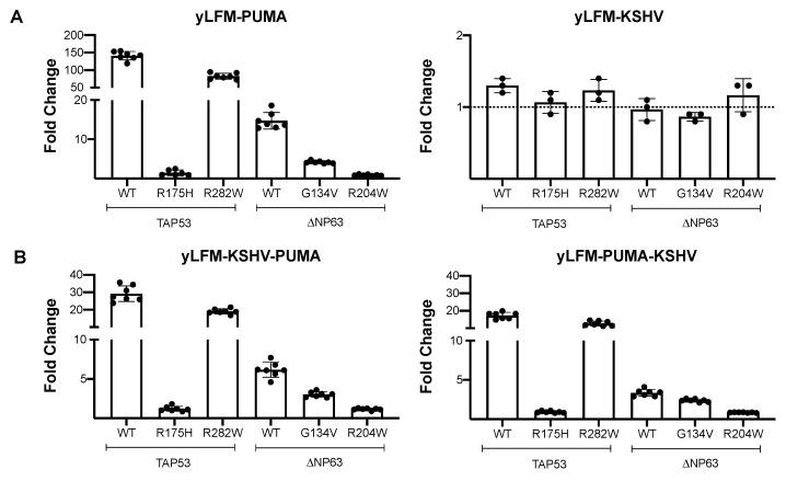 https://cdn.ncbi.nlm.nih.gov/pmc/blobs/e87d/7919268/cdf5eb1da557/genes-12-00277-g003.jpg