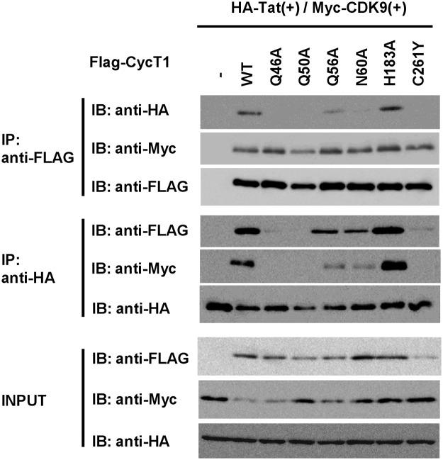 https://cdn.ncbi.nlm.nih.gov/pmc/blobs/e87f/4363469/fd71467d4cf7/pone.0119451.g006.jpg