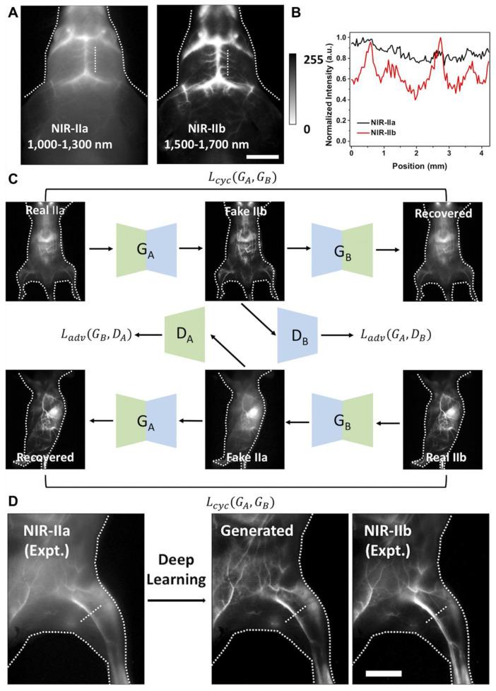 https://cdn.ncbi.nlm.nih.gov/pmc/blobs/e881/12068291/0981362e6d77/thnov15p5616g023.jpg