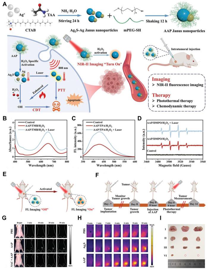 https://cdn.ncbi.nlm.nih.gov/pmc/blobs/e881/12068291/52901c62ec96/thnov15p5616g015.jpg