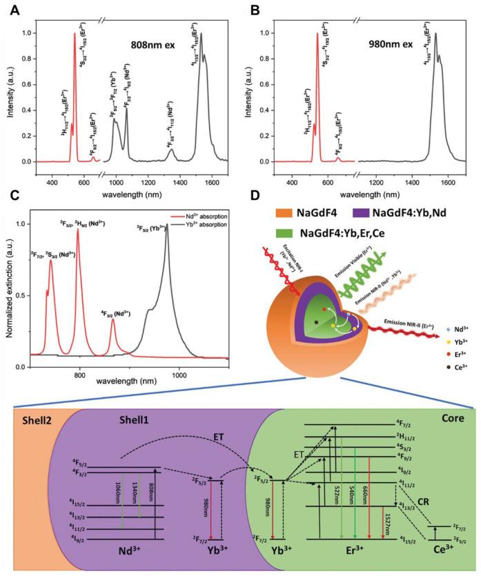 https://cdn.ncbi.nlm.nih.gov/pmc/blobs/e881/12068291/7589832442f7/thnov15p5616g021.jpg