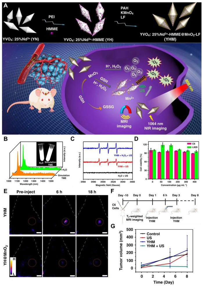 https://cdn.ncbi.nlm.nih.gov/pmc/blobs/e881/12068291/ab44238e8acd/thnov15p5616g016.jpg