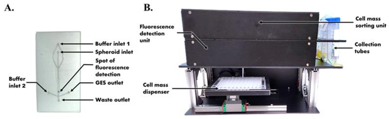https://cdn.ncbi.nlm.nih.gov/pmc/blobs/e882/11352754/de8200a3f356/biosensors-14-00392-g004.jpg