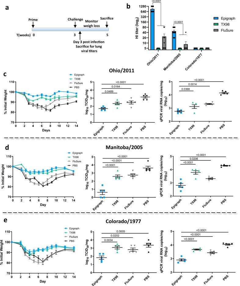 https://cdn.ncbi.nlm.nih.gov/pmc/blobs/e882/7900167/bebc1f100f08/41467_2021_21508_Fig4_HTML.jpg