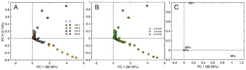 https://cdn.ncbi.nlm.nih.gov/pmc/blobs/e883/11397657/f5da59ba21b8/plants-13-02519-g006.jpg