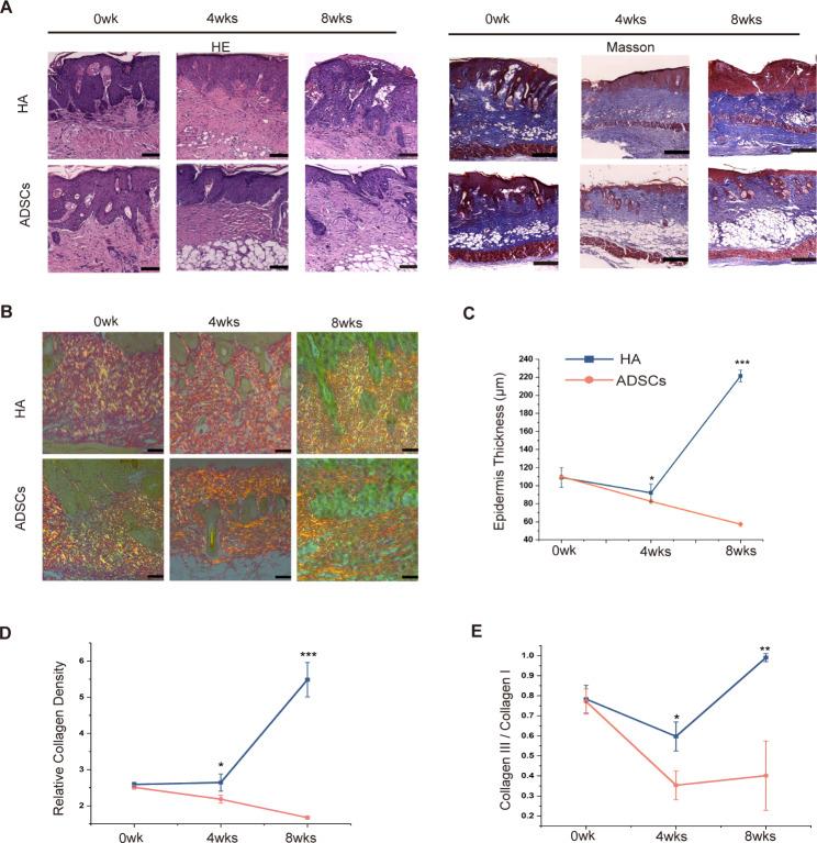 https://cdn.ncbi.nlm.nih.gov/pmc/blobs/e886/11438223/3570c2dfccb3/13287_2024_3904_Fig3_HTML.jpg