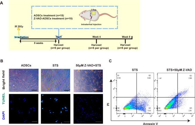 https://cdn.ncbi.nlm.nih.gov/pmc/blobs/e886/11438223/432a41a3804a/13287_2024_3904_Fig5_HTML.jpg