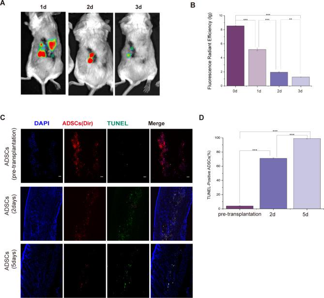 https://cdn.ncbi.nlm.nih.gov/pmc/blobs/e886/11438223/4a8e36bd1ed1/13287_2024_3904_Fig4_HTML.jpg