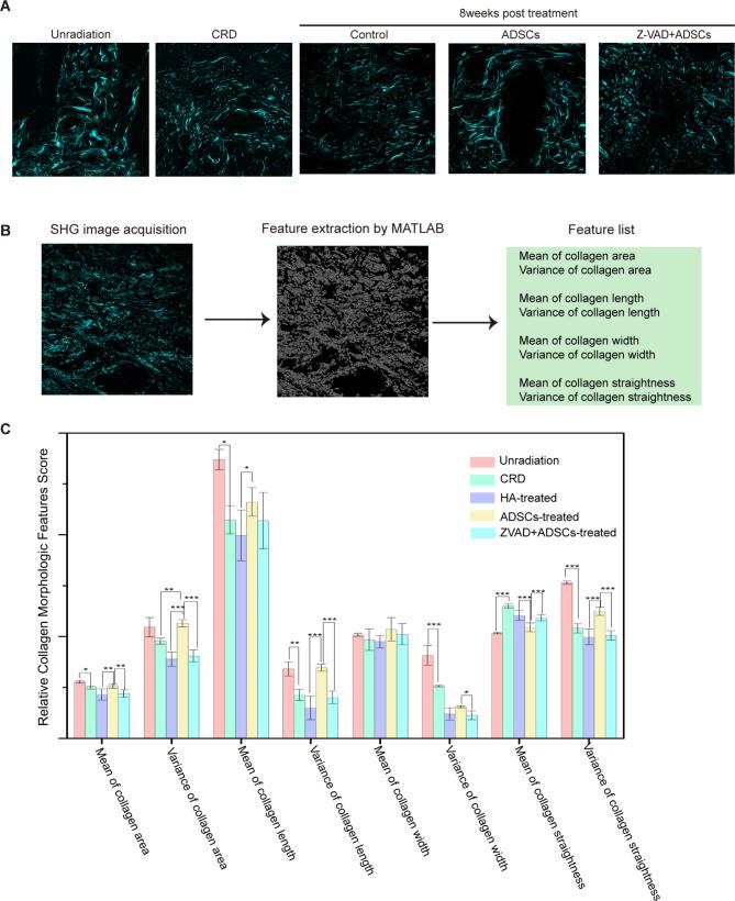https://cdn.ncbi.nlm.nih.gov/pmc/blobs/e886/11438223/5ca861c94458/13287_2024_3904_Fig7_HTML.jpg