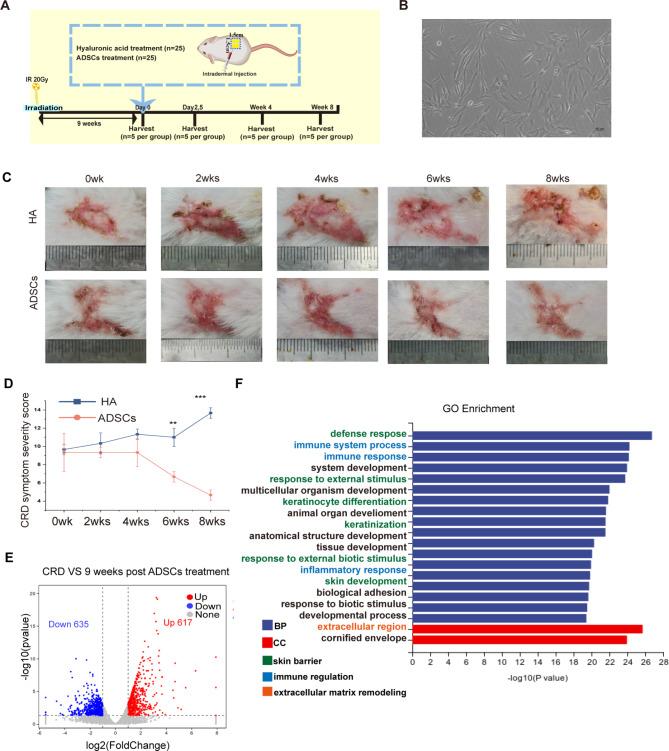 https://cdn.ncbi.nlm.nih.gov/pmc/blobs/e886/11438223/8f845dc44f56/13287_2024_3904_Fig2_HTML.jpg