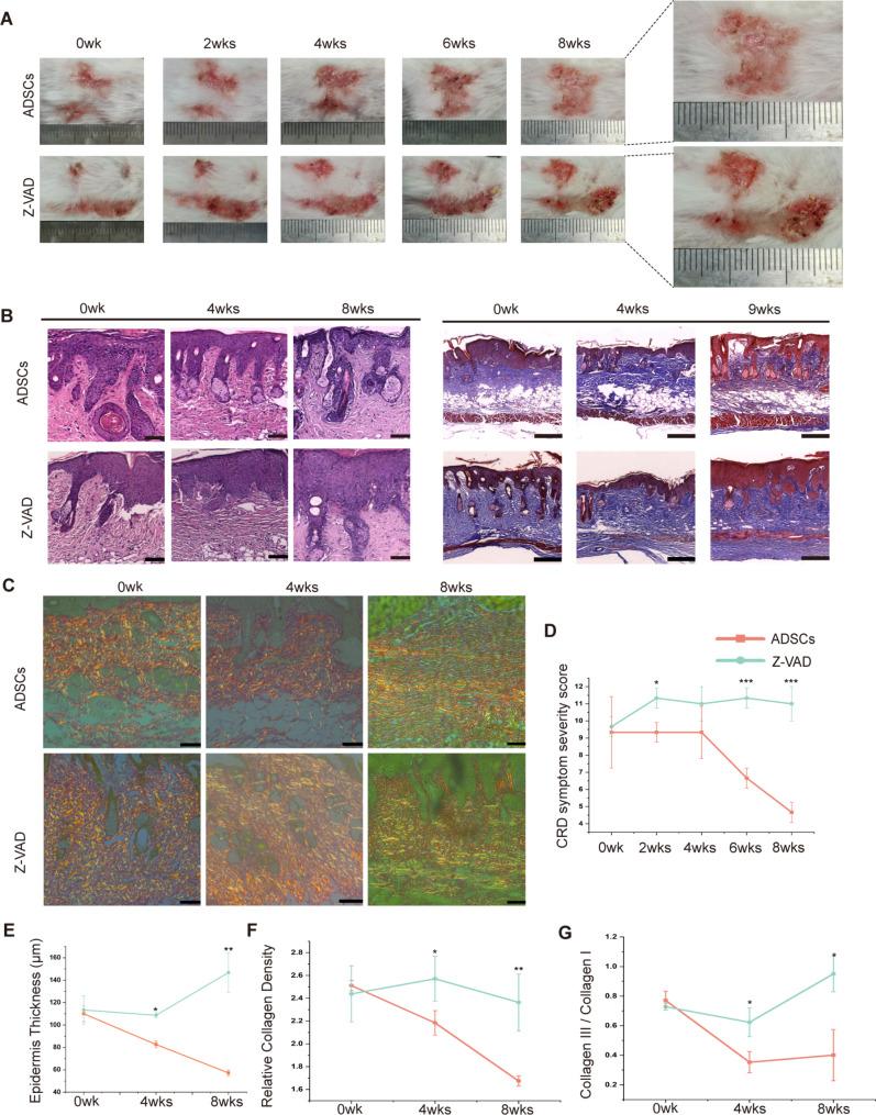 https://cdn.ncbi.nlm.nih.gov/pmc/blobs/e886/11438223/99a6ba8509c8/13287_2024_3904_Fig6_HTML.jpg