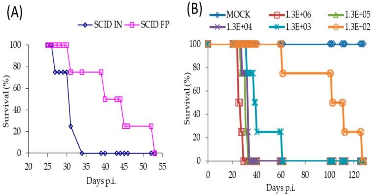 https://cdn.ncbi.nlm.nih.gov/pmc/blobs/e886/5580460/2e33f30446e5/viruses-09-00203-g002a.jpg