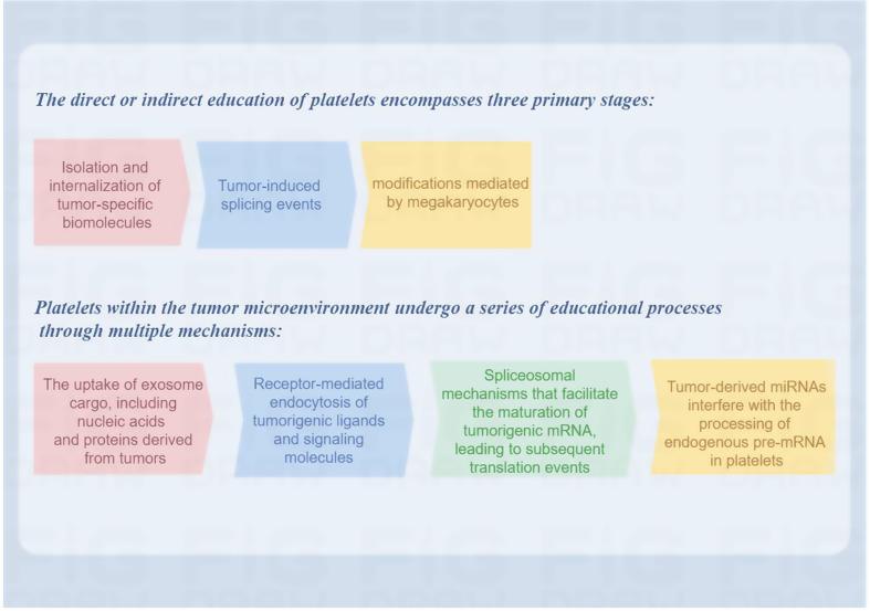 https://cdn.ncbi.nlm.nih.gov/pmc/blobs/e887/12255057/b28c635d6644/12935_2025_3877_Fig2_HTML.jpg