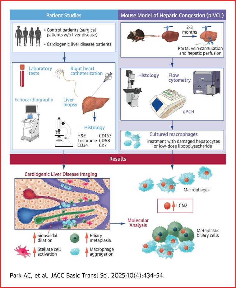 https://cdn.ncbi.nlm.nih.gov/pmc/blobs/e889/12134598/75ba9ef85344/ga1.jpg