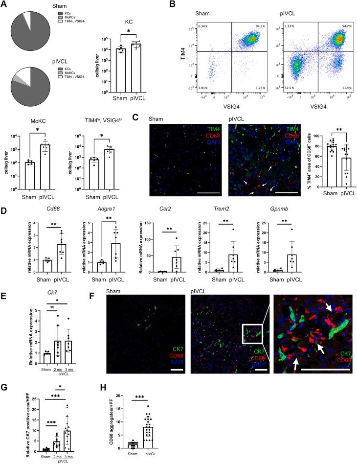 https://cdn.ncbi.nlm.nih.gov/pmc/blobs/e889/12134598/c082030916ce/gr7.jpg
