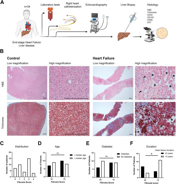 https://cdn.ncbi.nlm.nih.gov/pmc/blobs/e889/12134598/f1ece9717202/gr1.jpg