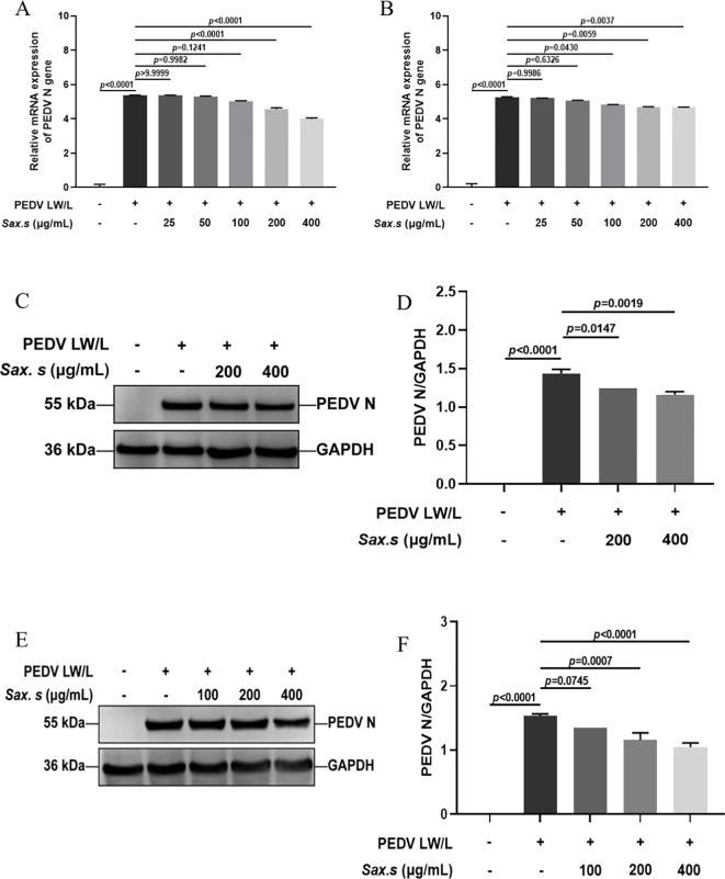 https://cdn.ncbi.nlm.nih.gov/pmc/blobs/e88a/12283740/4cbdae7fd520/fcimb-15-1615300-g002.jpg