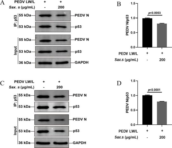 https://cdn.ncbi.nlm.nih.gov/pmc/blobs/e88a/12283740/5ee85e30bad0/fcimb-15-1615300-g006.jpg
