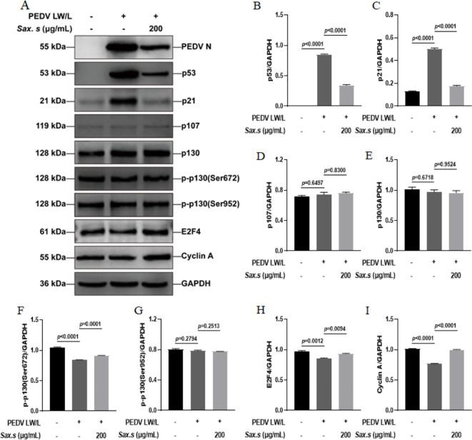 https://cdn.ncbi.nlm.nih.gov/pmc/blobs/e88a/12283740/f20be91adfde/fcimb-15-1615300-g007.jpg