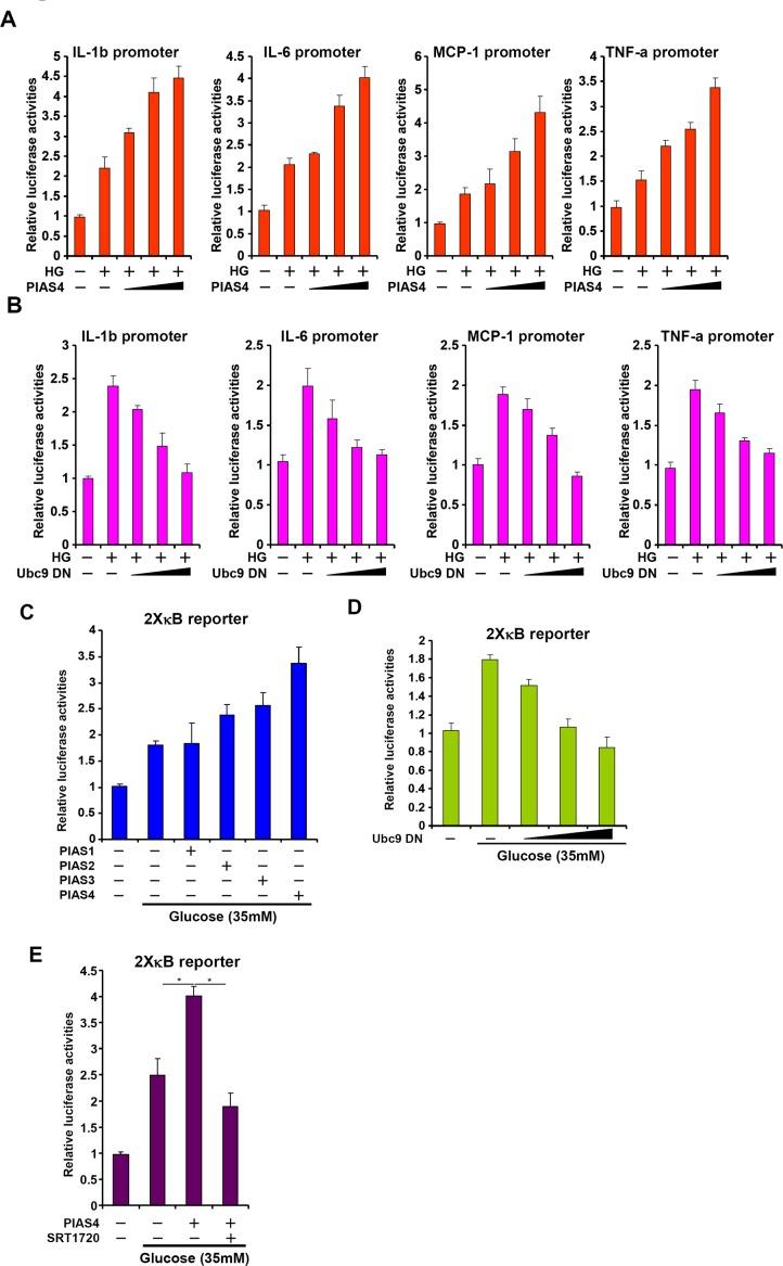 https://cdn.ncbi.nlm.nih.gov/pmc/blobs/e88a/5189995/ba87577e5ce4/oncotarget-07-42892-g004.jpg