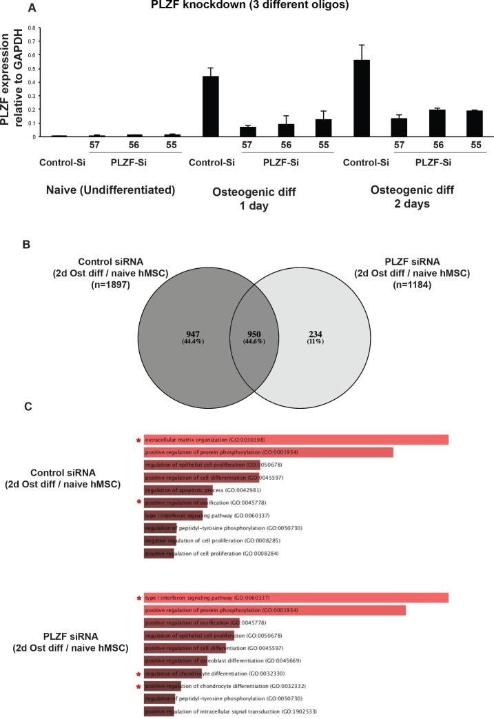 https://cdn.ncbi.nlm.nih.gov/pmc/blobs/e88f/6344081/ea1bf58b5f6f/elife-40364-fig3-figsupp1.jpg