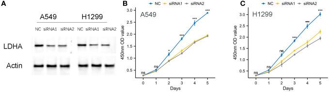 https://cdn.ncbi.nlm.nih.gov/pmc/blobs/e893/10641741/8f2e9a9220ae/fimmu-14-1278496-g015.jpg