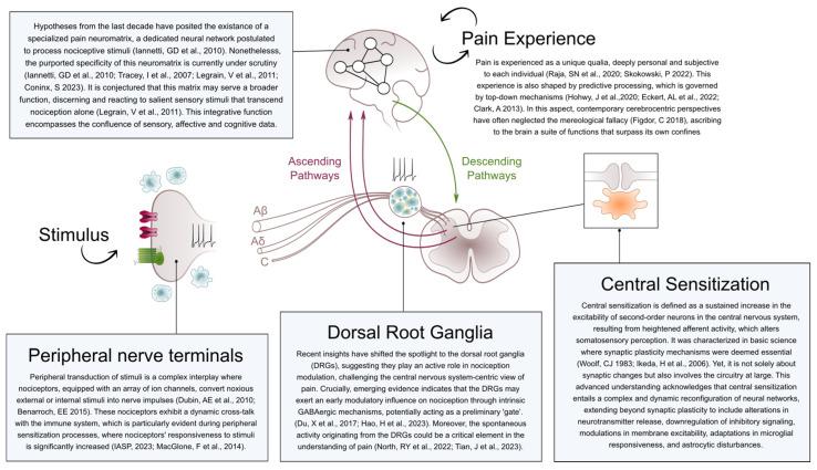 https://cdn.ncbi.nlm.nih.gov/pmc/blobs/e896/10672144/66fb3384ea00/jcm-12-07080-g001.jpg