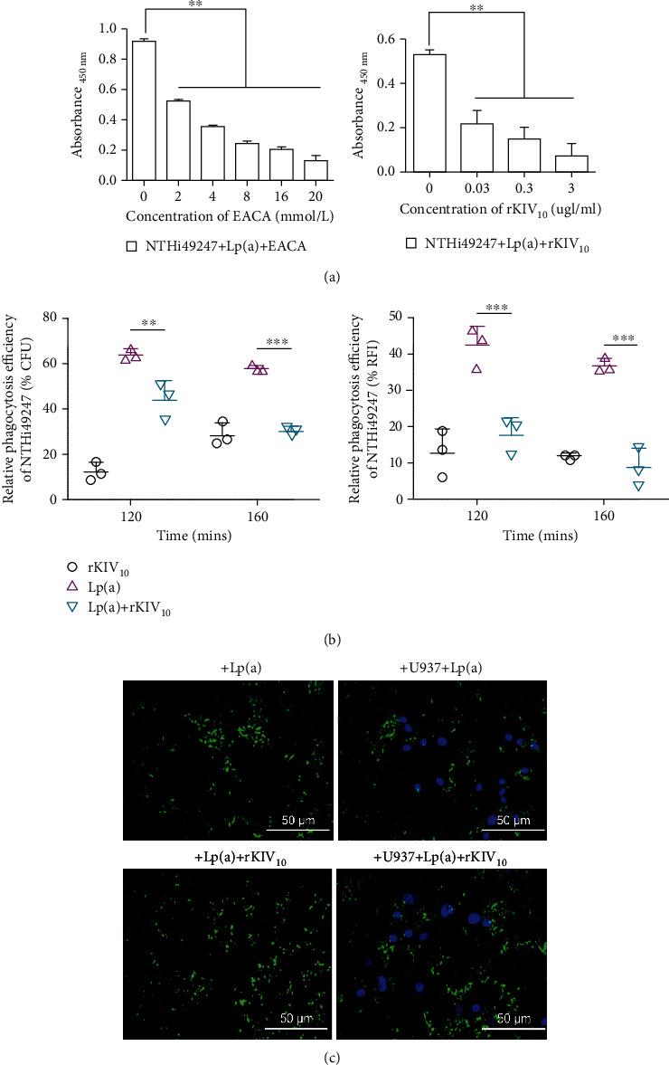 https://cdn.ncbi.nlm.nih.gov/pmc/blobs/e899/8577944/531479bc393f/JIR2021-2185568.004.jpg