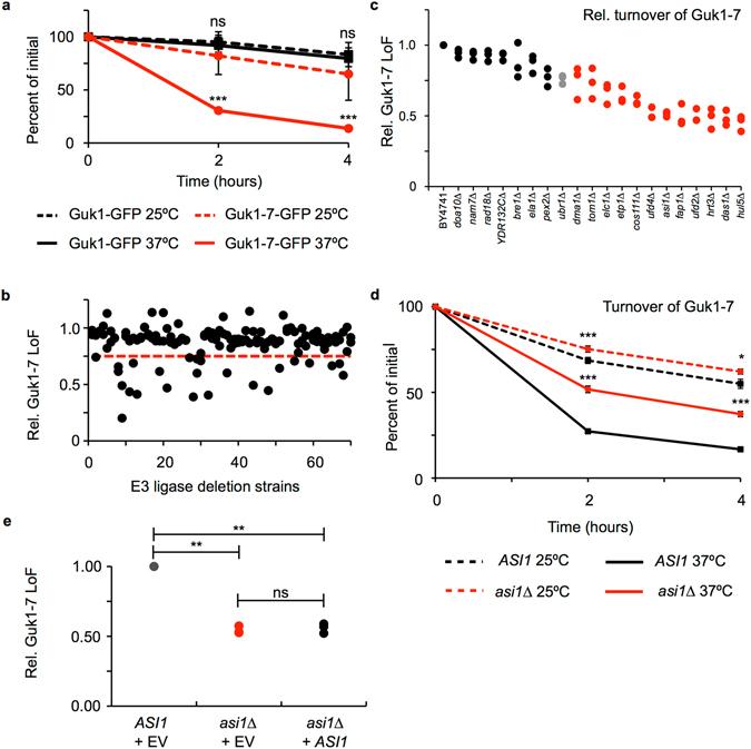 https://cdn.ncbi.nlm.nih.gov/pmc/blobs/e89c/5482819/5ac18a4ab82d/41598_2017_4525_Fig1_HTML.jpg