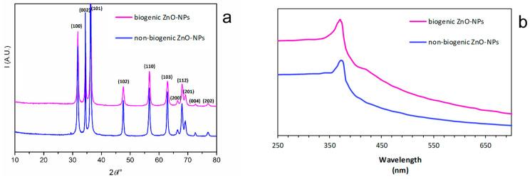 https://cdn.ncbi.nlm.nih.gov/pmc/blobs/e89c/8151215/7be0415462d4/nanomaterials-11-01270-g001.jpg