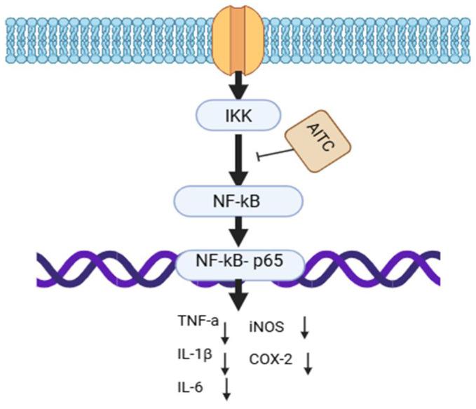 https://cdn.ncbi.nlm.nih.gov/pmc/blobs/e89d/11853810/c0e226fa868a/foods-14-00579-g002.jpg