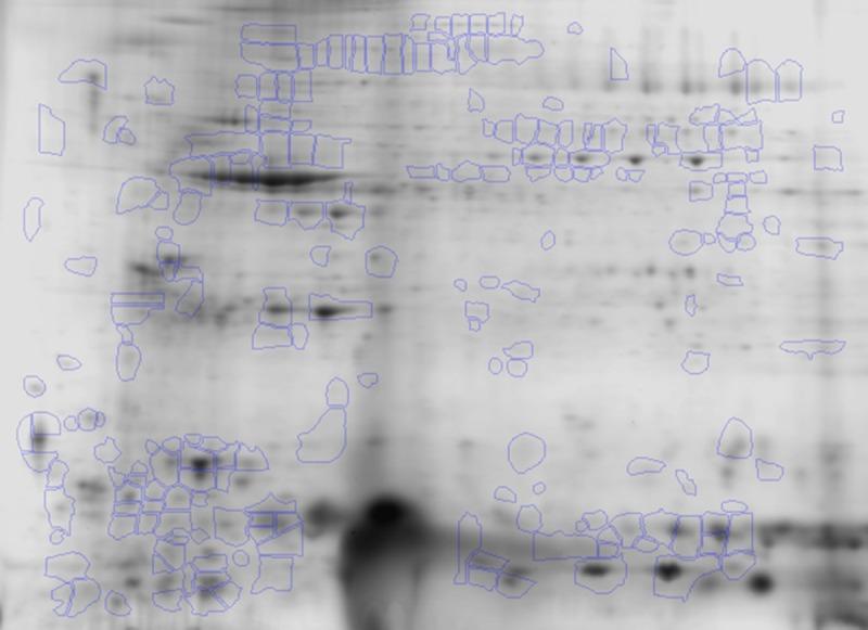 https://cdn.ncbi.nlm.nih.gov/pmc/blobs/e8a1/4769231/91521e469f82/pntd.0004490.g002.jpg